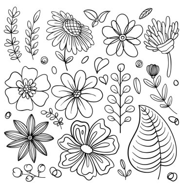 Set of hand drawn floral vector with leaves and branches,Floral sketch collection. Decorative elements for design. Vector illustration