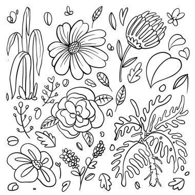 Set of hand drawn floral vector with leaves and branches,Floral sketch collection. Decorative elements for design. Vector illustration