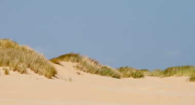 dunes çim ile peyzaj