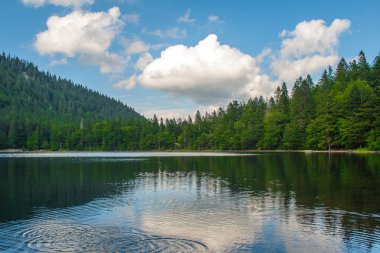 feldberg Almanya Kara Orman'ın feldsee üzerinde göster