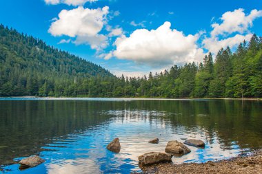 feldberg Almanya Kara Orman'ın feldsee üzerinde göster