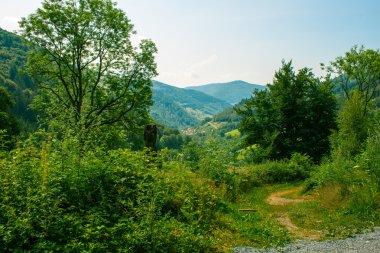 Kara Orman Almanya todtnau içinde Panorama