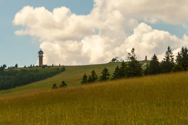 Paisaje en Feldberg el bosque negro en Alemania — Foto de Stock