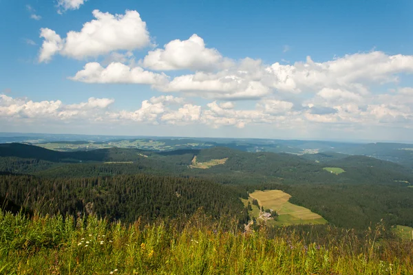 Landschap in feldberg in het Zwarte Woud in Duitsland — Stockfoto