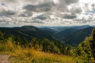 feldberg Almanya Kara Orman'ın peyzaj
