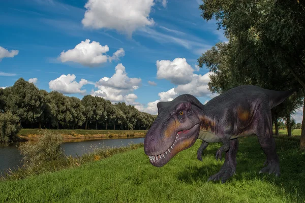 Straszny dino tyrannosaurus rex w ciemne niebo — Zdjęcie stockowe