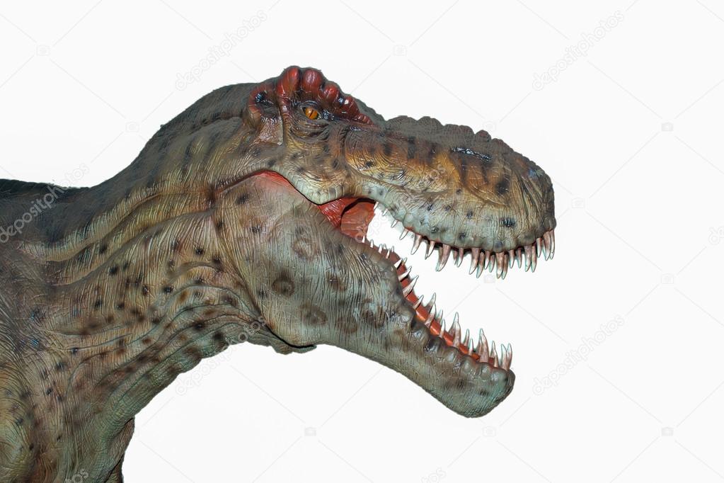 Scary isolated dino dinosaurs T rex