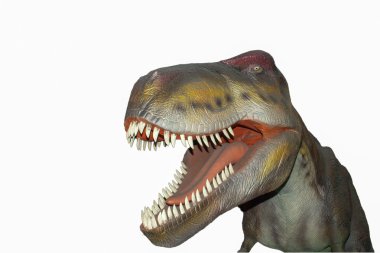 korkutucu izole dino dinozorlar