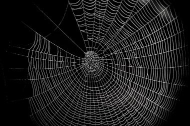 örümcek web deseni için halloween korkunç spiderweb