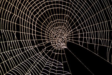 örümcek web deseni için halloween korkunç spiderweb