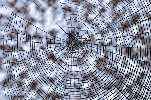 Ziemlich beängstigend beängstigendes Spinnennetz — Stockfoto