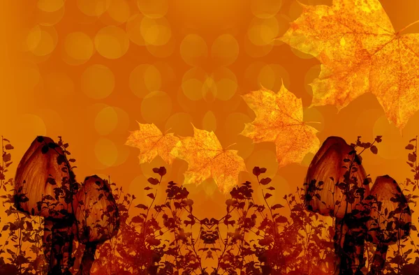 Colorful background of fall autumn — Stock Photo, Image
