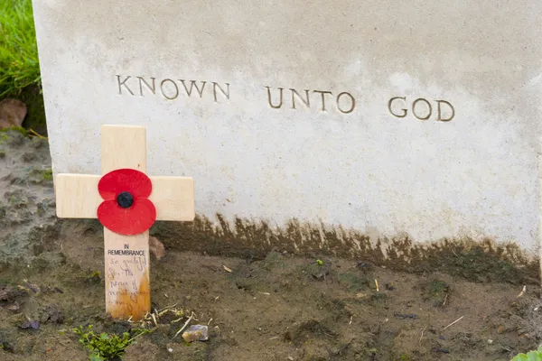 Poppies on Tyne cot cemetery first world war flanders Bélgica — Fotografia de Stock