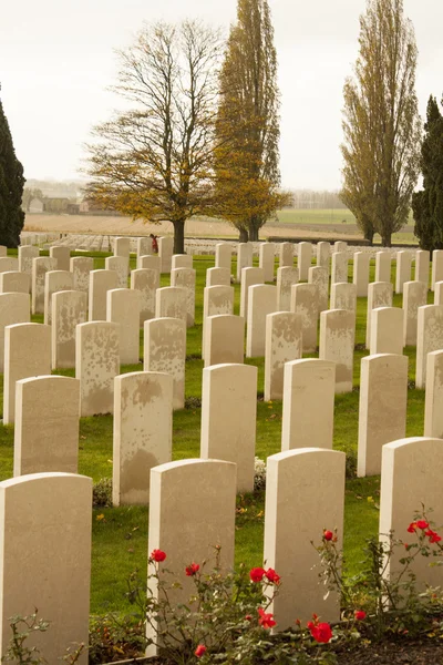 Světové války jeden hřbitov tyne cot Belgie Flandry Ypry — Stock fotografie