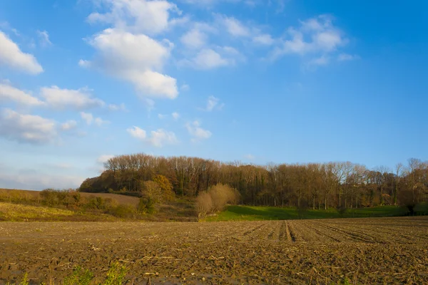 Un beau paysage automnal en Flandre — Photo