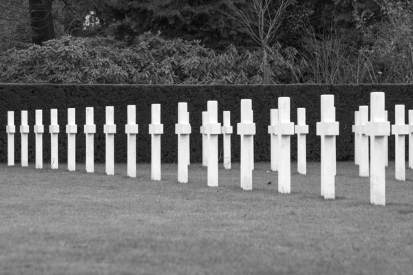 Cementerio americano Flanders field Bélgica Waregem —  Fotos de Stock