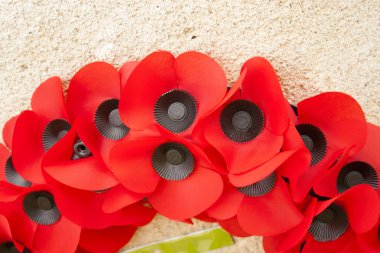 Poppy day great remembrance war world flanders clipart