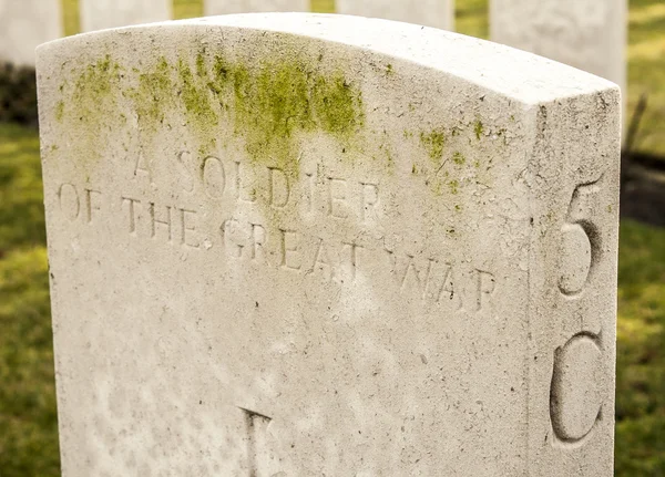 A soldier of the great war in flanders fields — Stock Photo, Image