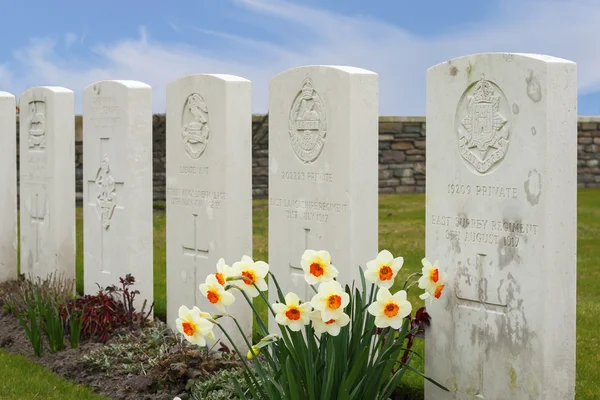 Nuovo cimitero britannico nei campi delle Fiandre grande guerra mondiale — Foto Stock