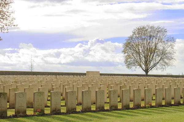 Madera cementerio gran guerra mundial uno flandes Bélgica —  Fotos de Stock