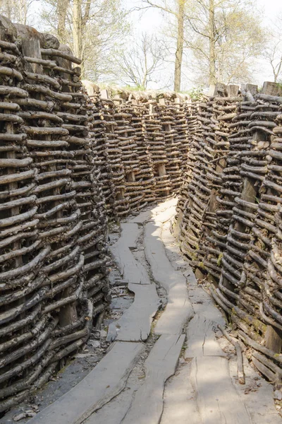 Bayernwald Duitse loopgraven grote Wereldoorlog Vlaanderen België — Stockfoto