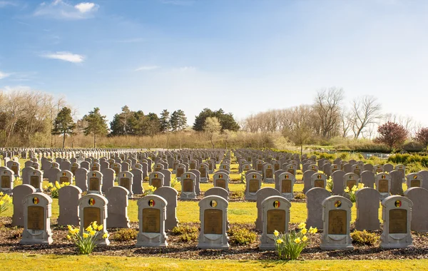 Cimetière soldats belges Première guerre mondiale — Photo