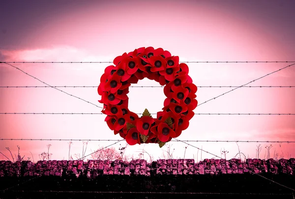 Antecedentes amapola WW1 alambre de púas y bolsas de arena guerra mundial — Foto de Stock