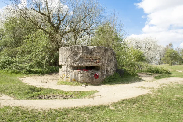 Bunker van de eerste Wereldoorlog op heuvel 60 België — Stockfoto