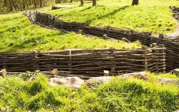 Bayernwald trä dike av världskriget 1 — Stockfoto