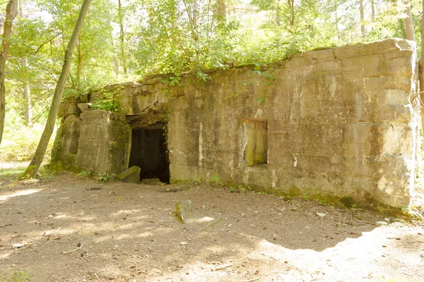 Bunker of world war 1 in flanders fields — Stock Photo, Image