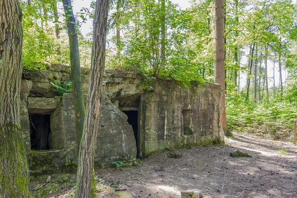 Bunker van Wereldoorlog 1 in Westhoek — Stockfoto