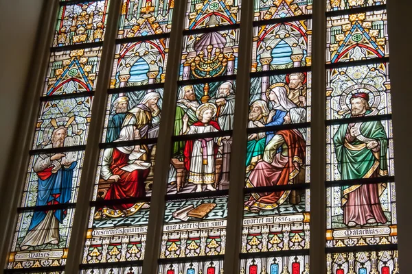 Blyinfattade fönster church Belgien Flandern Brygge — Stockfoto