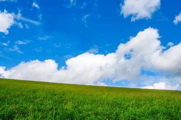 Campo verde in montagna con nuvole cremose — Foto Stock
