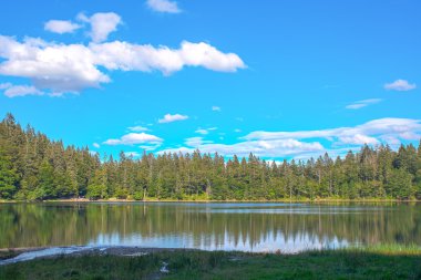 Panorama manzara göl üzerinde görüntülemek ve çam ağacı ve bulutlar black forest Almanya