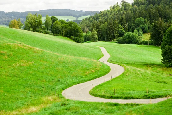 Kronkelende landweg tussen groene velden in de bergen — Stockfoto