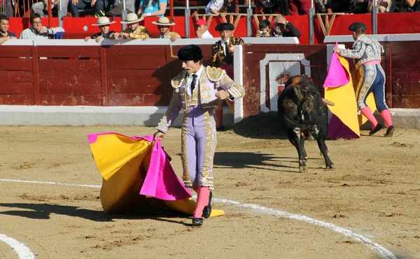 Bullfight — Stock Photo, Image