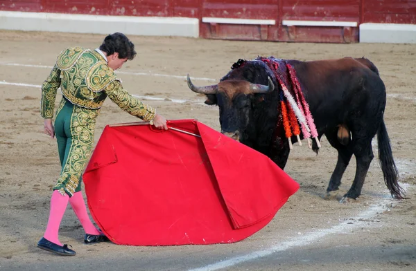 Corrida — Foto Stock