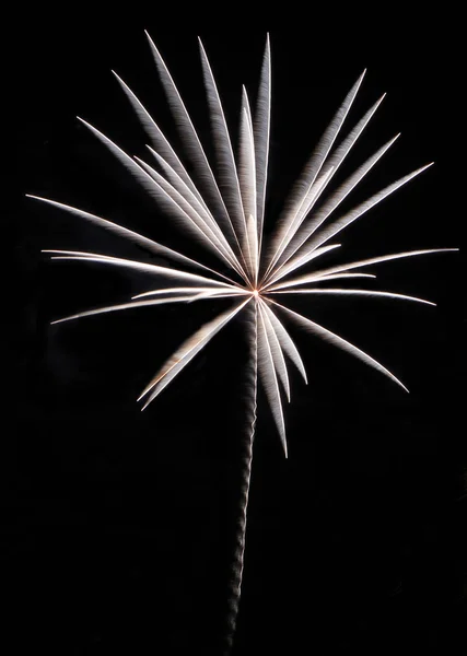 Feuerwerk und Partyszene — Stockfoto