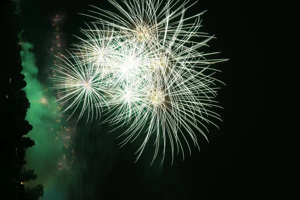 Fuochi d'artificio e scena Party — Foto Stock