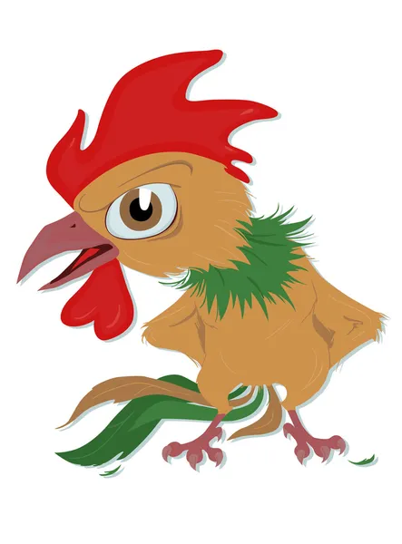 Indignant rooster — Stock Vector