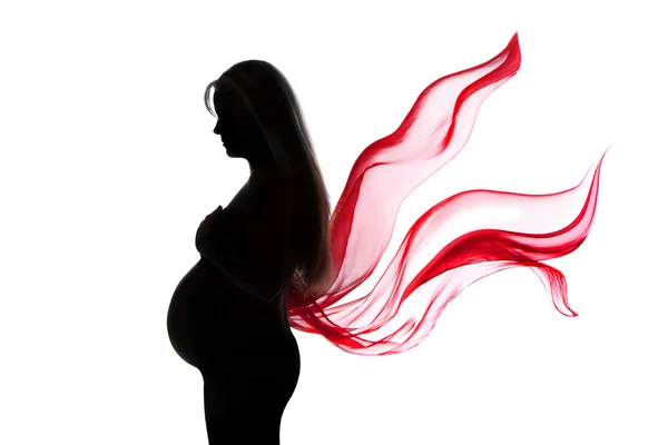 Pregnant woman — Stock Photo, Image