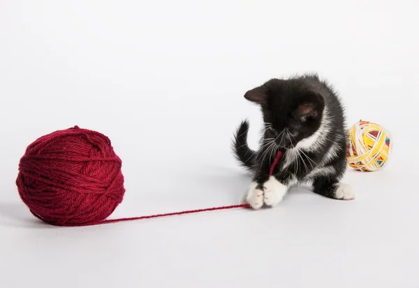 小猫在玩毛线球， — 图库照片