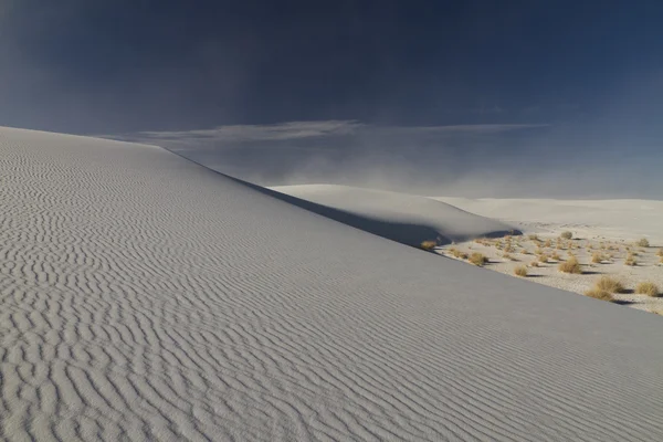 Dunas de areia branca com plantas — Fotografia de Stock