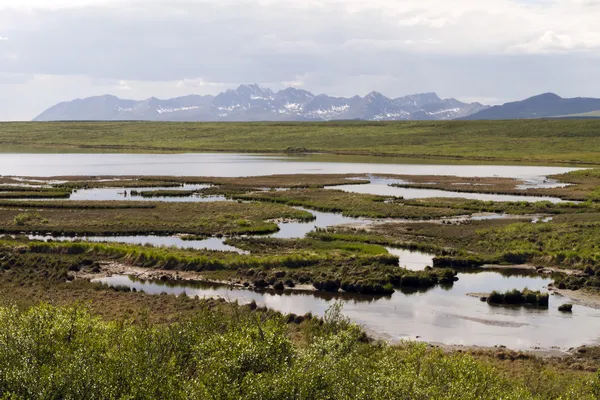 Tundra na Alasce — Zdjęcie stockowe