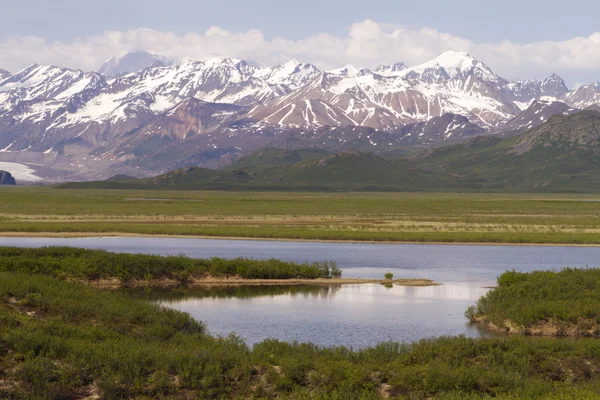 Tundra in Alaska — Foto Stock