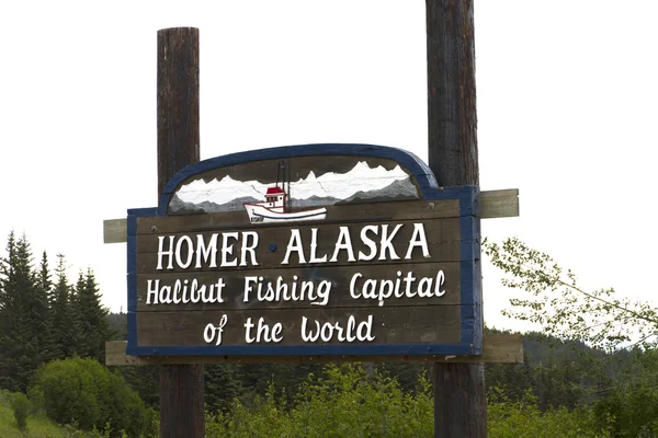 Homer alaska pisi balığı balıkçılık Sermaye Dünya