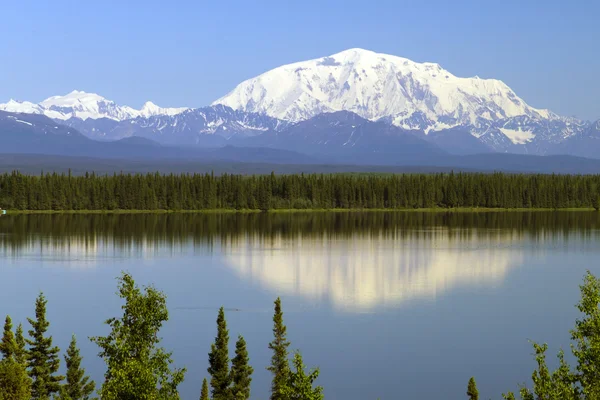 Mt Блекберн — стокове фото