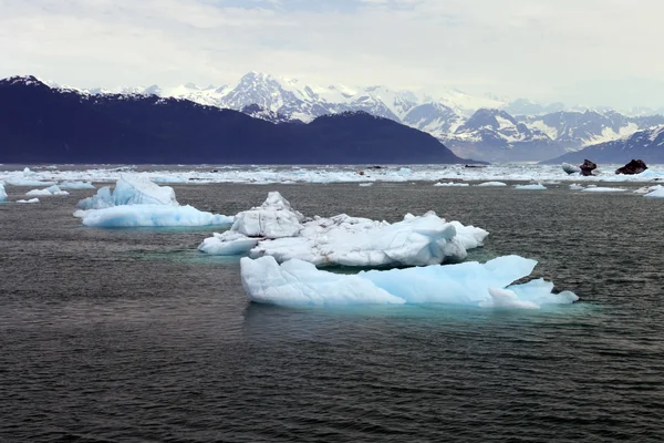 Iceberg no mar Imagem De Stock