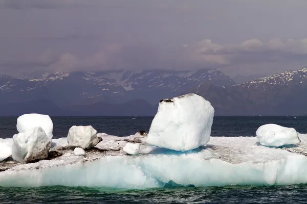 Icebergs in the sea Royalty Free Stock Images