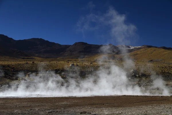 Ångande gejser Chile — Stockfoto